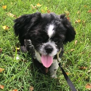 Meet your Posher, Maria